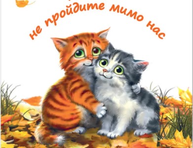Доброта спасёт мир. Занятие в ШМВ