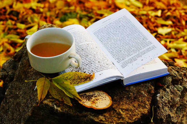 Золотая осень