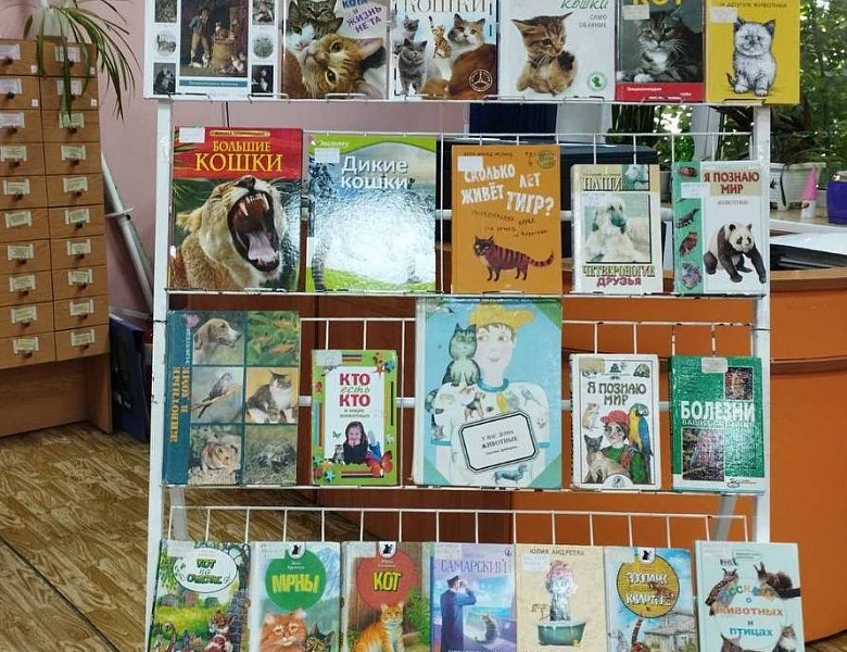 Выставка в юношеском отделе ко Всемирному дню кошек