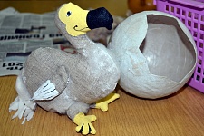 Раскопки в библиотеке