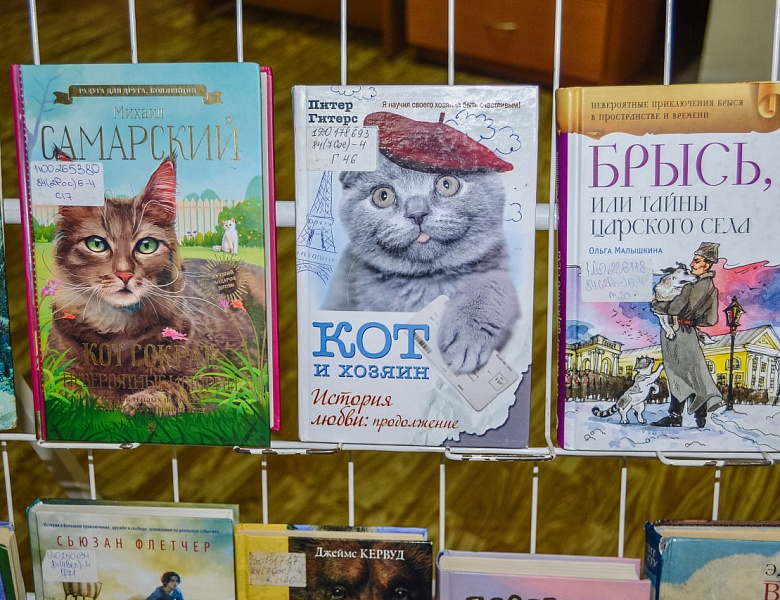 Книга + кино