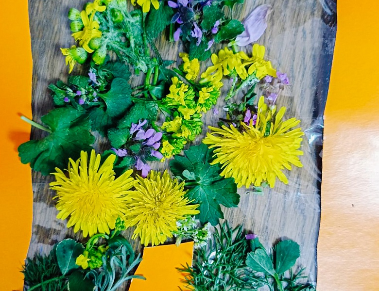 Занятие в ШМВ