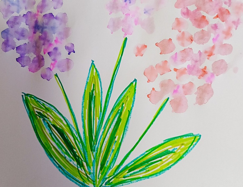 Занятие в ШМВ