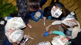 Раскопки в библиотеке