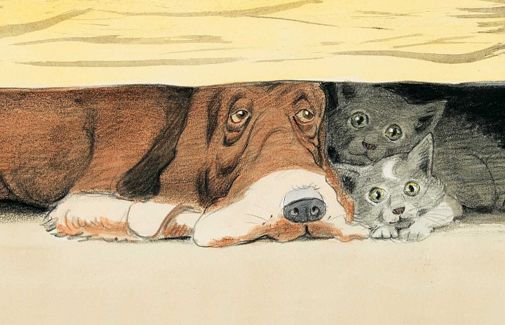 Всемирный день бездомных животных