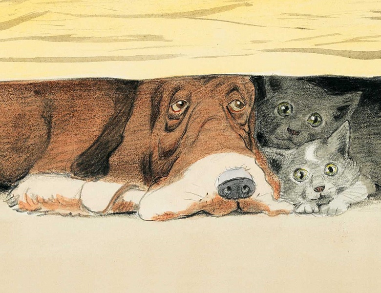 Всемирный день бездомных животных