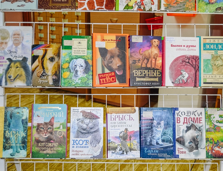 Книга + кино