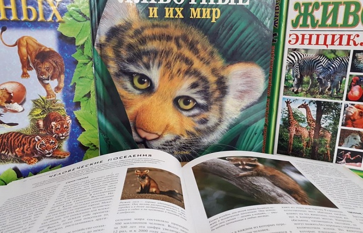 С любовью к братьям нашим меньшим!