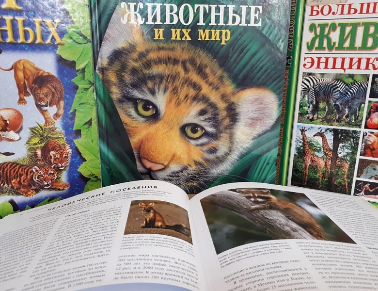 С любовью к братьям нашим меньшим!