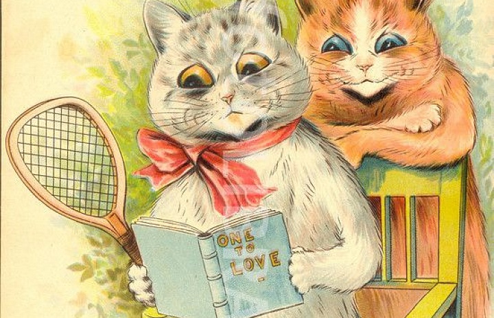 Коты прилетели!