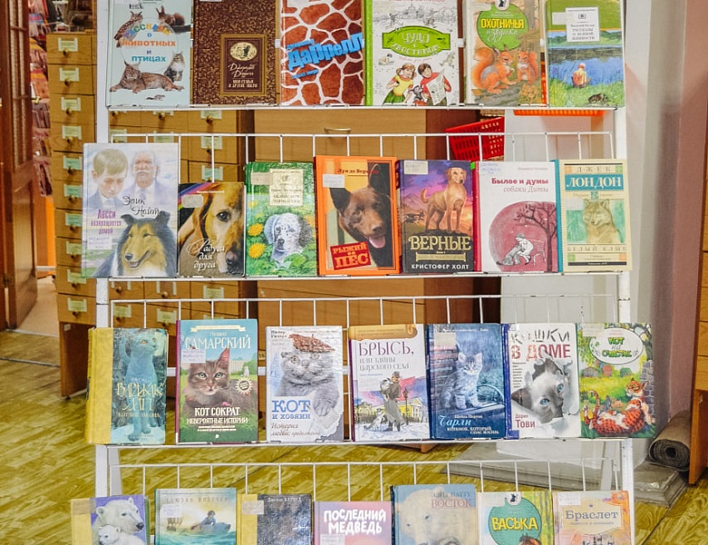 Книга + кино