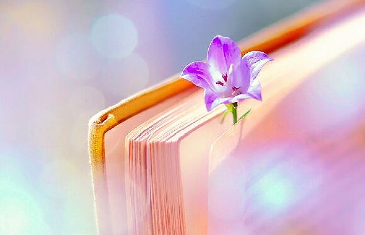 Весенняя история