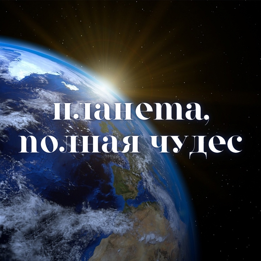 Планета, полная чудес