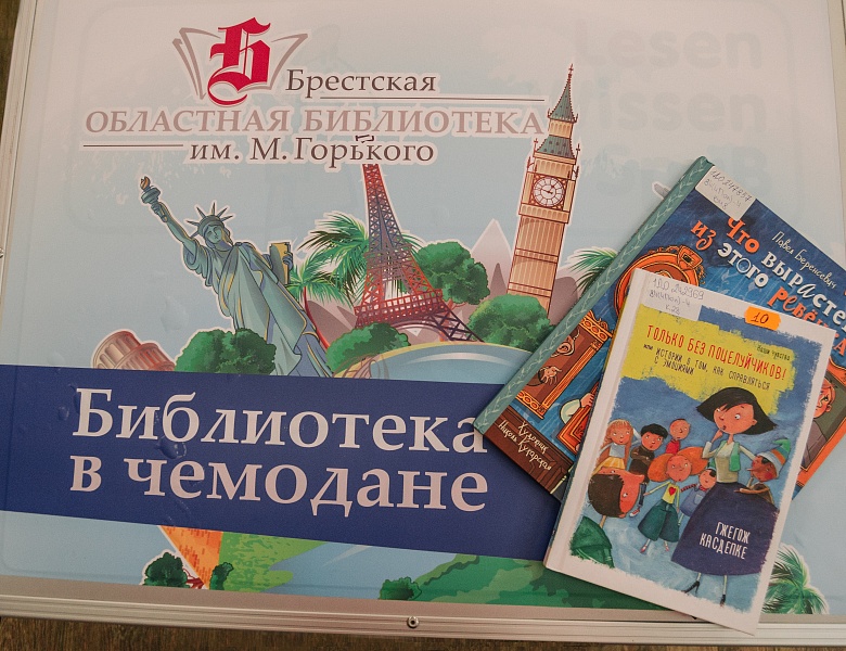  «Библиотека в чемодане» в СШ № 31