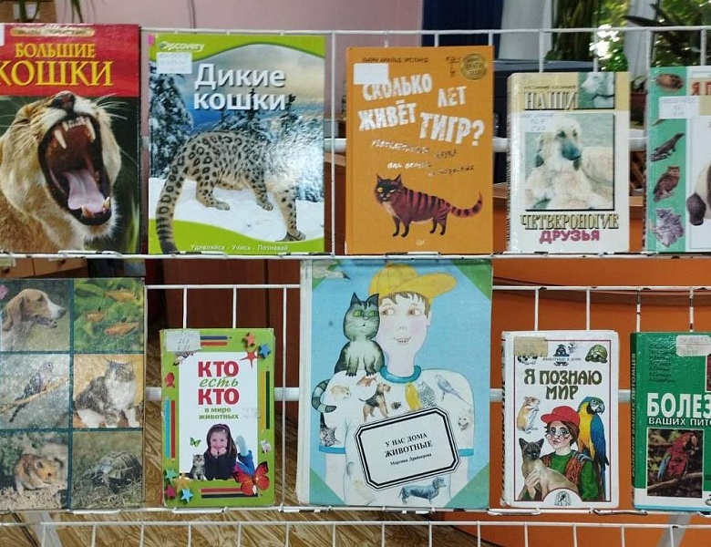 Выставка в юношеском отделе ко Всемирному дню кошек