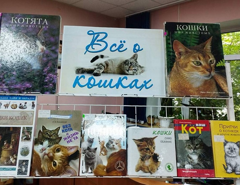 Выставка в юношеском отделе ко Всемирному дню кошек