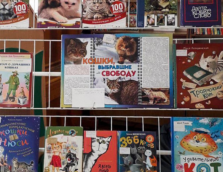 Летний отдых с детским отделом