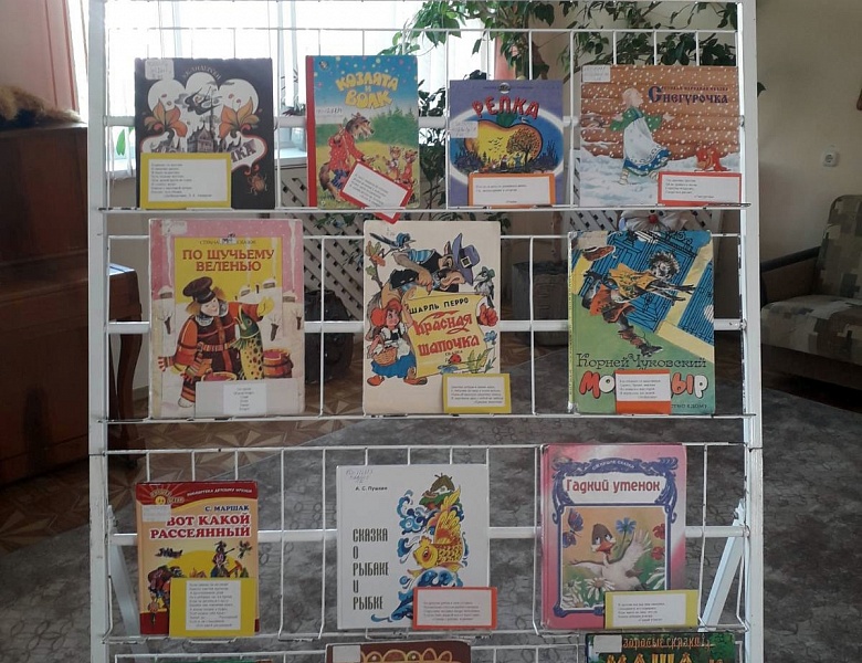 В гости к книжкам мы спешим!