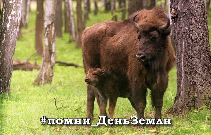 Марафон ко Дню Земли