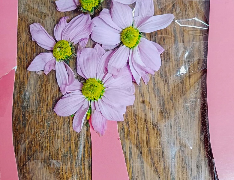 Занятие в ШМВ