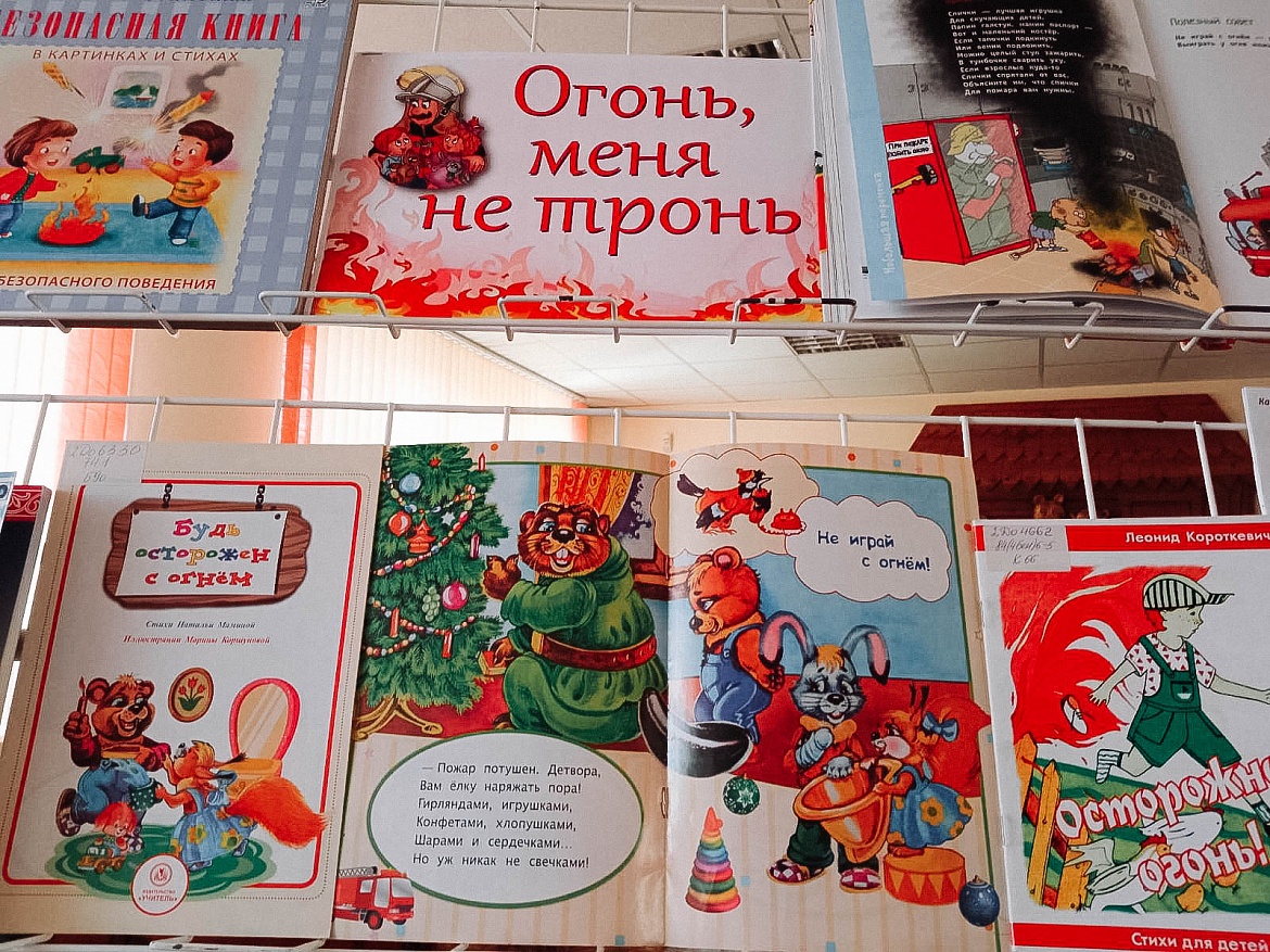 «Огонь, меня не тронь!»: книжная выставка