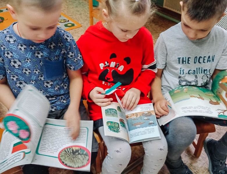 Краіна , у якой я жыву