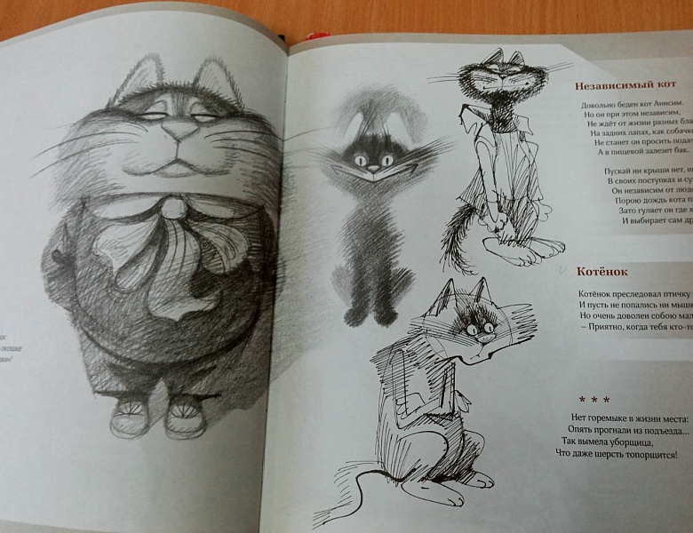 Книжная выставка ко Дню кошек