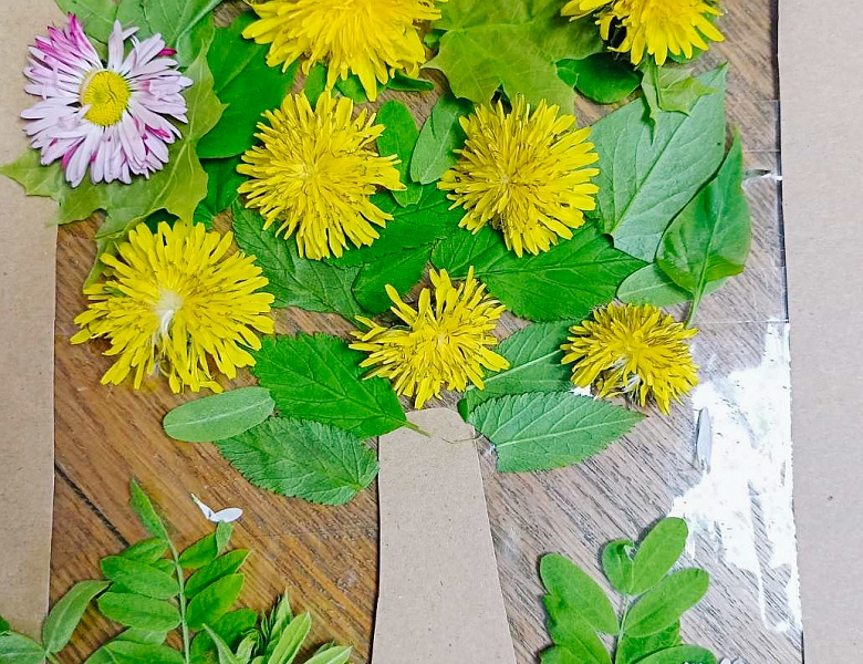 Занятие в ШМВ