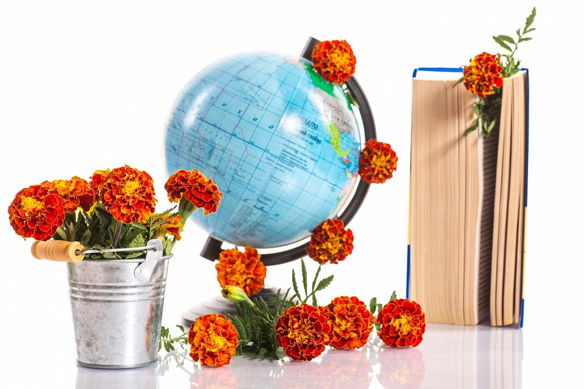 День знаний в библиотеке