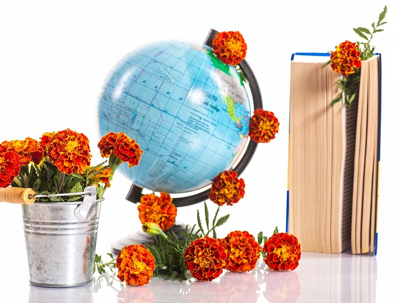 День знаний в библиотеке