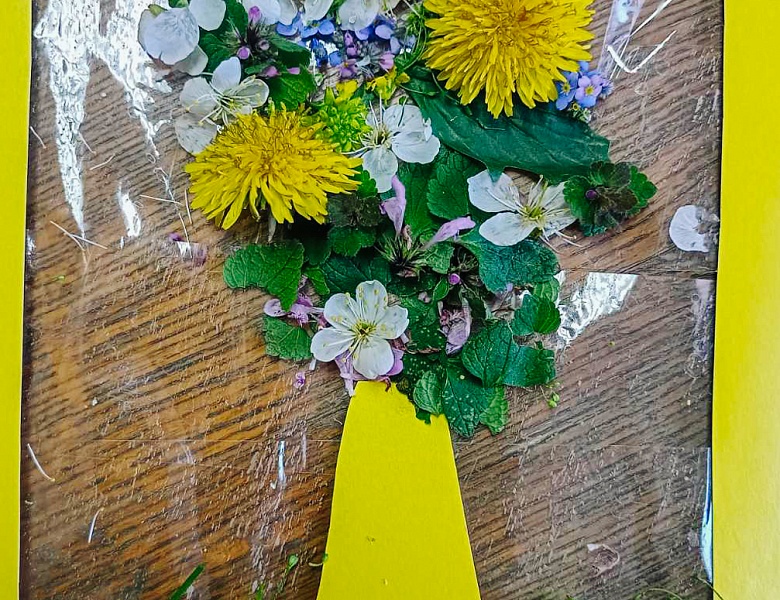 Занятие в ШМВ