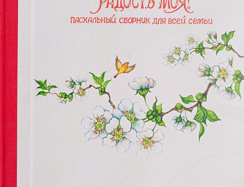 Занятия в ШМВ